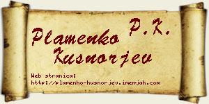 Plamenko Kušnorjev vizit kartica